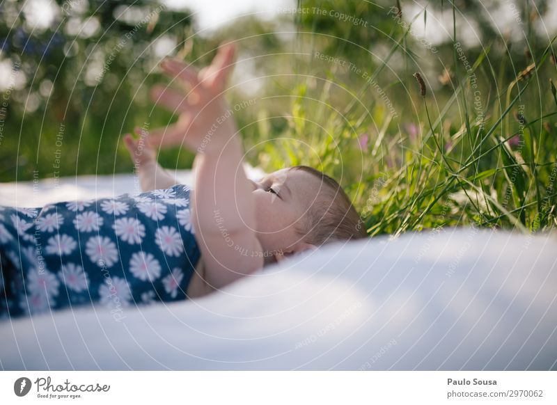 Baby-Arme heben Erhöhung Arme hoch Lügen Frühling jung Kaukasier Porträt Menschen Freude schön niedlich Kind Spielen grün Park Außenaufnahme Glück Natur
