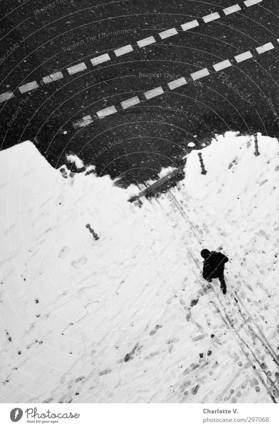 Passant Mensch maskulin Mann Erwachsene 1 schlechtes Wetter Schnee Schneefall Berlin Fußgänger Bürgersteig Fahrbahn Fahrbahnmarkierung Poller