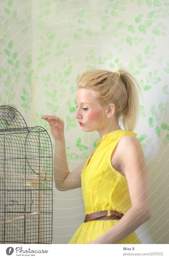 Goldener Käfig Mensch feminin Junge Frau Jugendliche 1 18-30 Jahre Erwachsene Kleid blond Haustier Vogel schön Stimmung Schutz Tierliebe träumen goldener Käfig