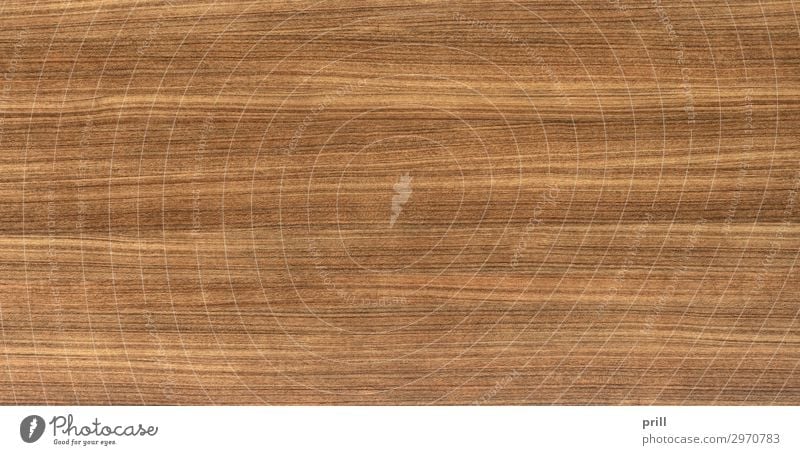 wood grain surface Getreide Wohnung Dekoration & Verzierung Möbel Natur Wald Holz Linie alt braun grau Ordnung Qualität Holzmaserung Holzstruktur holzoberfläche