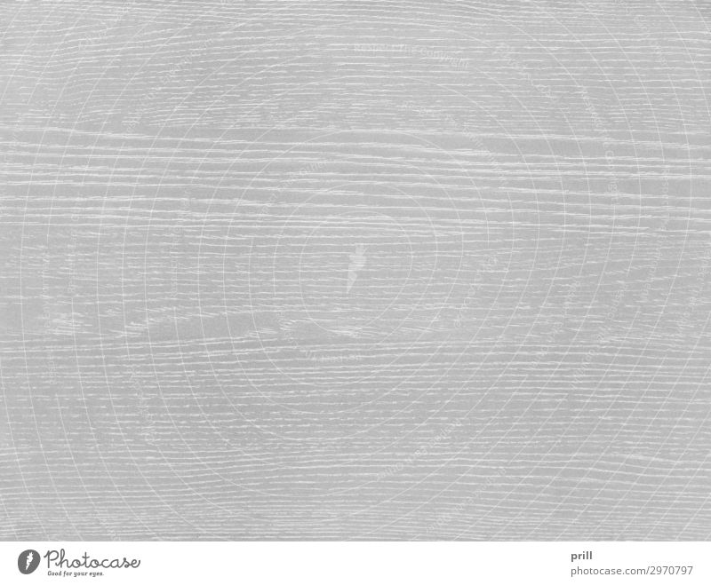 wooden surface Getreide Wohnung Dekoration & Verzierung Möbel Natur Wald Holz Linie alt grau weiß Ordnung Qualität Holzmaserung Holzstruktur holzoberfläche