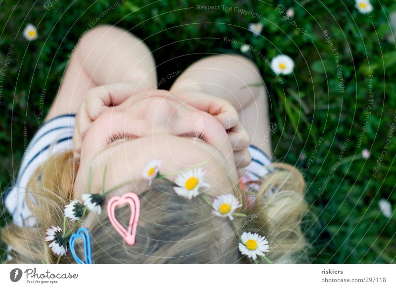 I wanna be a hippie feminin Kind Mädchen Kindheit 1 Mensch 3-8 Jahre Umwelt Natur Frühling Sommer Blume Gänseblümchen Garten Wiese Denken Erholung Lächeln