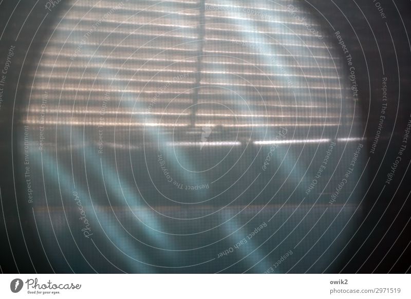 Lichtscheu Vorhang Sichtschutz Jalousie Lamellenjalousie leuchten rund durchsichtig Lichteinfall diagonal unklar Rätsel Farbfoto Innenaufnahme Experiment