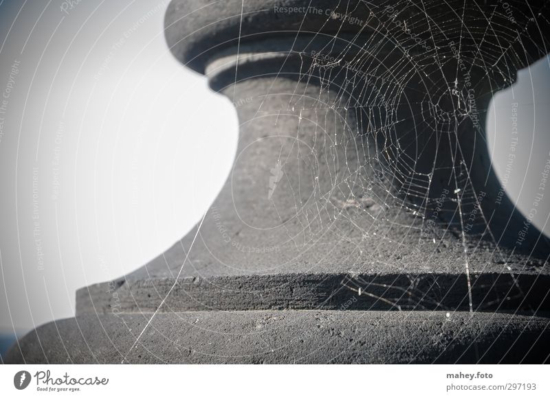 Glanz vergangener Tage Sightseeing Sommer Architektur Stein Netz Spinnennetz alt dunkel gruselig historisch grau schwarz Volksglaube Einsamkeit Menschenleer