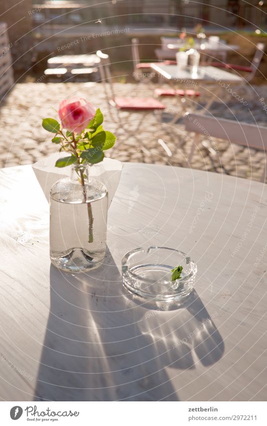 Rose Tisch Vase Dekoration & Verzierung Aschenbecher Glas Straßencafé Imbiss Gastronomie Herberge Pause Sommer Sonne Licht weiß Menschenleer Textfreiraum ruhig