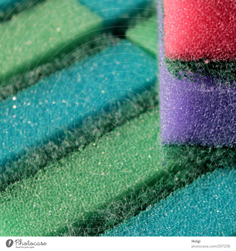 Zumutung | Frühjahrsputz... Schwamm Kunststoff liegen ästhetisch außergewöhnlich einfach Sauberkeit blau grün violett rosa Tatkraft Reinlichkeit anstrengen