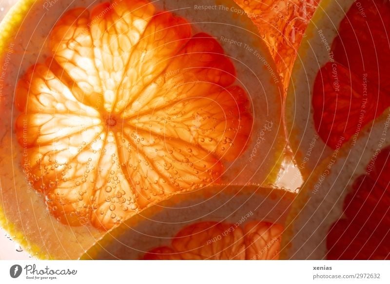 Makroaufnahme einer Pampelmuse in Orange Frucht Grapefruit Bioprodukte Vegetarische Ernährung frisch Gesundheit lecker sauer süß Vitamin leuchten Foodfotografie