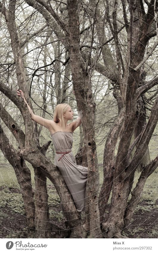 Griechische Göttin Mensch feminin Frau Erwachsene 1 18-30 Jahre Jugendliche Natur Baum Park Wald Kleid blond schön Stimmung Hochmut Stolz Griechische Götter