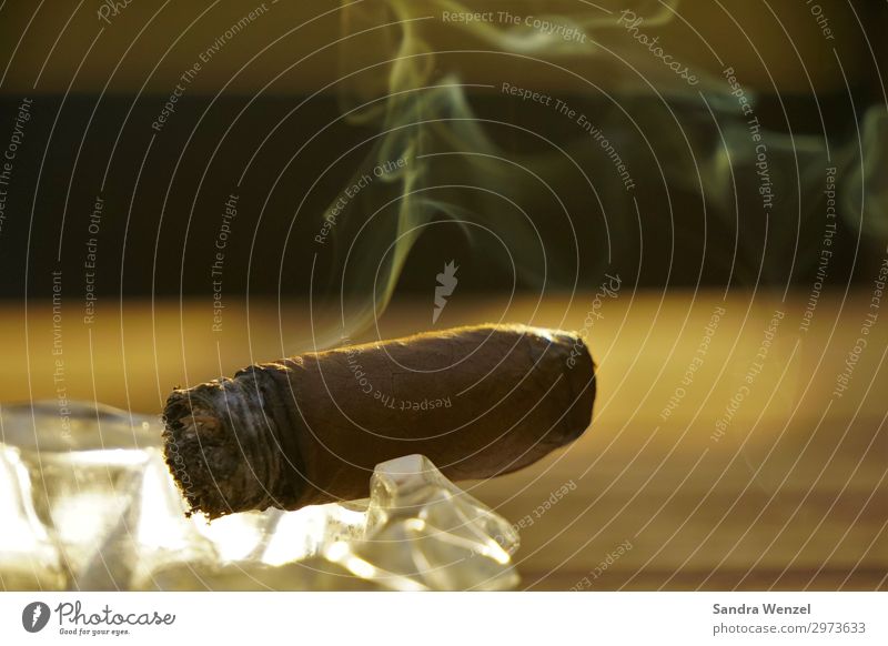 Cohiba Party genießen Rauchen Zigarrenproduktion Kuba Tabak Tabakplantage Valle de Viñales Havanna Außenaufnahme Menschenleer Abend