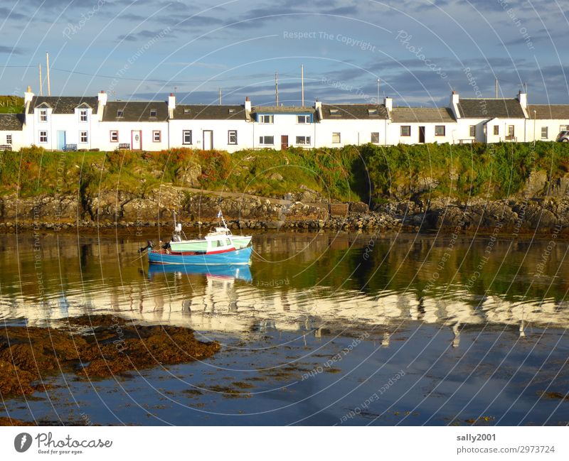 schottische Reihenhäuser.... Sommer Küste Meer Schottland Haus Einfamilienhaus Fischerboot Hafen maritim Einsamkeit Gelassenheit Bucht Reihenhaus ruhig Insel