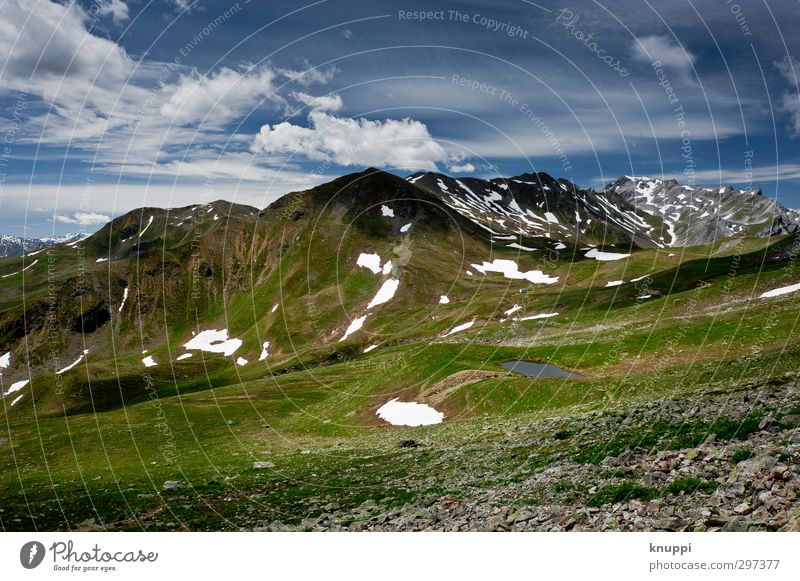 2350 m.ü.M. Umwelt Natur Landschaft Pflanze Urelemente Erde Wasser Wolken Sonne Sonnenlicht Sommer Schönes Wetter Eis Frost Schnee Gras Alpen Berge u. Gebirge