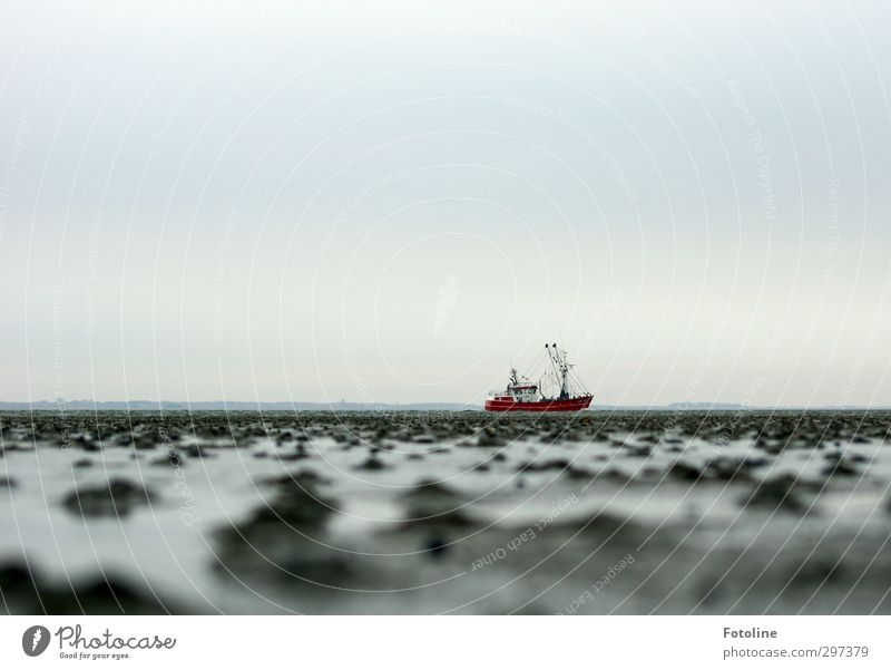 Rømø | Kutter Umwelt Natur Landschaft Urelemente Erde Wasser Himmel Küste Nordsee Meer kalt nass grau rot Wasserfahrzeug Fischerboot Wattenmeer römö Farbfoto
