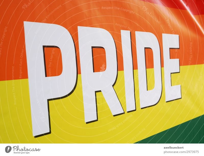 Regenbogenfahne bei LGBT Pride Event Lifestyle Party Veranstaltung Feste & Feiern Homosexualität Zeichen Fahne mehrfarbig Symbole & Metaphern Transgender