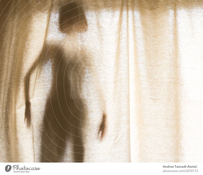 Hinter dem Vorhang feminin Frau Erwachsene Körper 1 Mensch 30-45 Jahre Fenster geheimnisvoll Farbfoto Innenaufnahme Silhouette Zentralperspektive