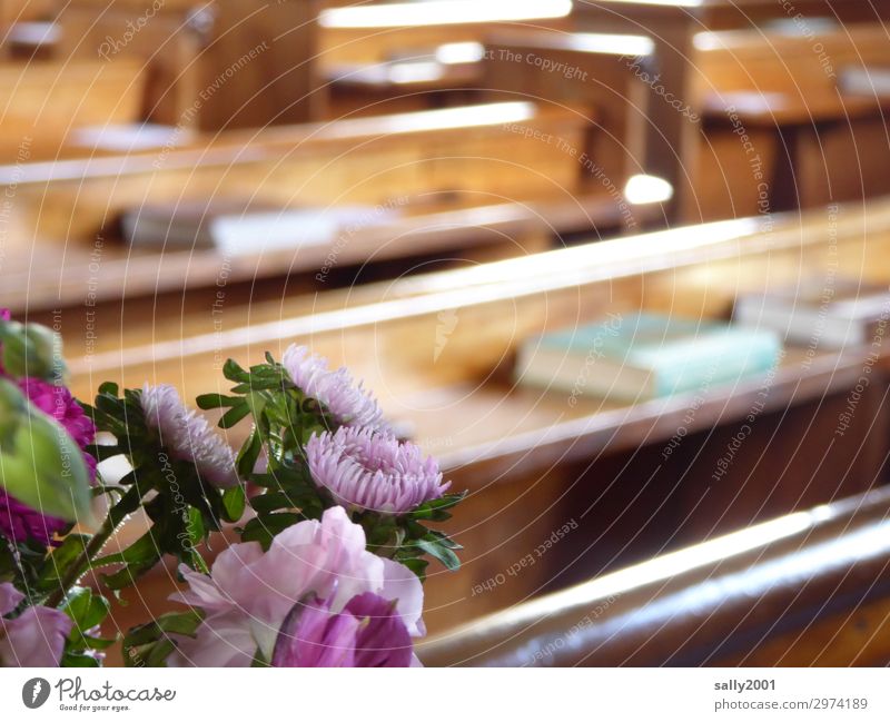 In der Kirche vor der Hochzeit... Kirchenbank Blumen Aster Blumenschmuck rosa lila violett Gesangbuch Gebetbuch Hochzeitsschmuck Religion & Glaube