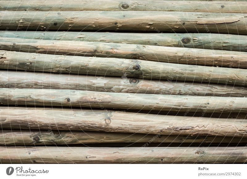 Detail eines Stapels imprägnierter Holzpfähle. Maserung Jahresringe Moos Abstrakt Zerfall verwittert Holzwirtschaft Landwirtschaft Brennholz Baumstupf Natur