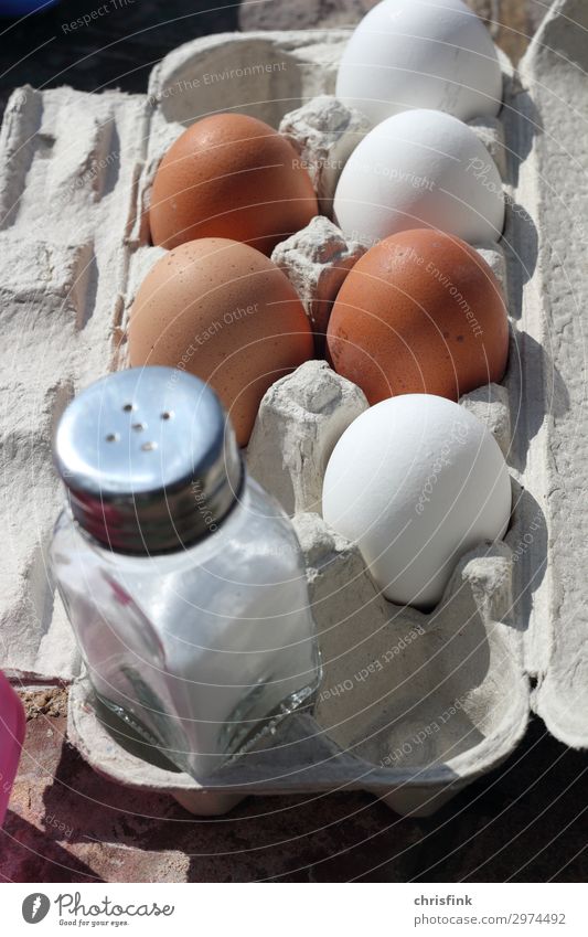 Eier in Packung mit Salzstreuer Lebensmittel Frühstück Gesundheit Fitness Diät Essen lecker Hunger Picknick Farbfoto Außenaufnahme Tag