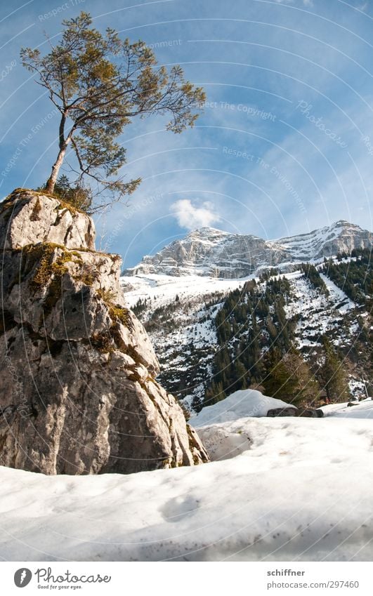 Höhepunkt Umwelt Natur Landschaft Himmel Sonnenlicht Winter Schönes Wetter Eis Frost Schnee Baum Felsen Alpen Berge u. Gebirge Gipfel Schneebedeckte Gipfel kalt