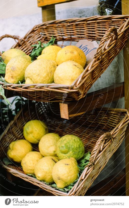 Frische Zitronen in flachen Buskets, auf ein Gestell gestellt Frucht gelb Zitrusfrüchte Napoli Italien Korb Markt Ablage Kiste keine Person Stillleben reif