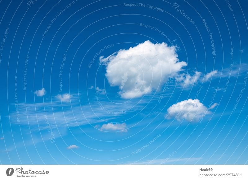 Weiße Wolken am blauen Himmel Umwelt Frühling Klima Wetter weiß Farbe Idylle nachhaltig Natur ruhig Cirrus Schleierwolke Atmosphäre Hintergrundbild heiter