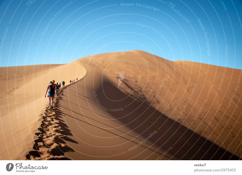 Dünenwanderung Menschengruppe Sand Wärme Dürre Wüste Namib wandern Zusammensein heiß hell blau gelb Durst Abenteuer Tourismus Ferien & Urlaub & Reisen