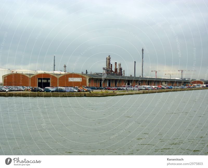 Autoverladestation am Hafen Technik & Technologie Industrie Landschaft Wasser schlechtes Wetter Antwerpen Belgien Europa Hafenstadt Industrieanlage Gebäude