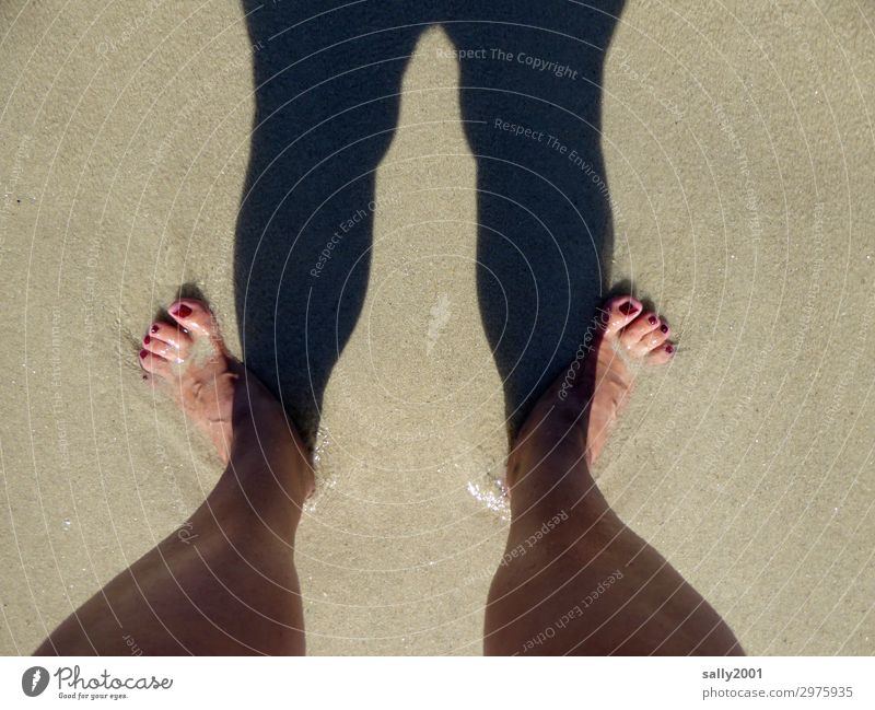 Urlaub... feminin Fuß 1 Mensch Strand Erholung stehen frisch Freude Glück Lebensfreude Ferien & Urlaub & Reisen Sand Zehennagel lackiert Meerwasser