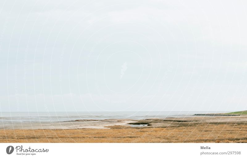 Rømø | Motivlos* - und auch nicht Umwelt Natur Landschaft Erde Luft Wasser Himmel Horizont Gras Küste Nordsee Meer Insel Feuchtwiese Unendlichkeit hell