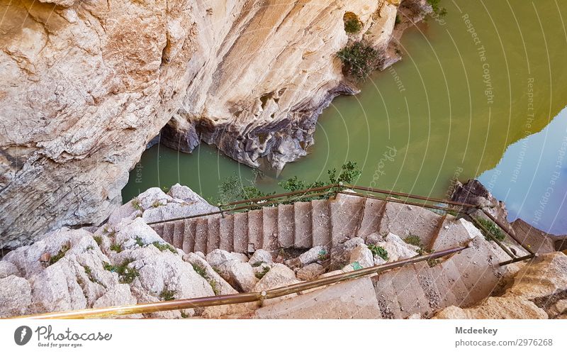Caminito del Rey Umwelt Natur Landschaft Sonne Sommer Schönes Wetter Wärme Park Felsen Andalusien Spanien Europa Treppe Sehenswürdigkeit außergewöhnlich
