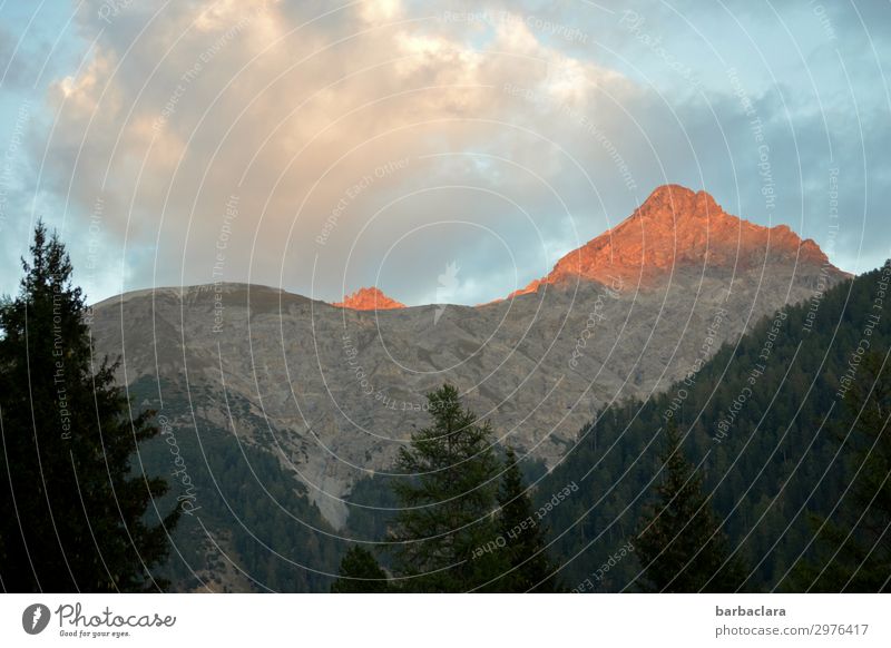 Alpenglühen im Engadin Ferien & Urlaub & Reisen Natur Landschaft Urelemente Himmel Wolken Sonne Wald Berge u. Gebirge Schweiz leuchten hoch rot Stimmung Klima