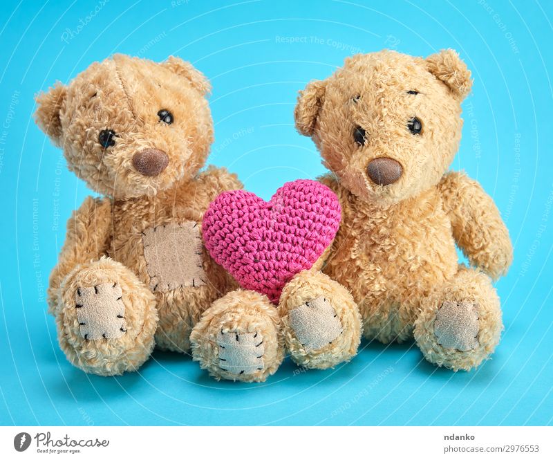 zwei braune Teddybären halten ein rotes gestricktes Herz. Freude Kind Familie & Verwandtschaft Freundschaft Kindheit Tier Spielzeug Puppe Liebe sitzen klein