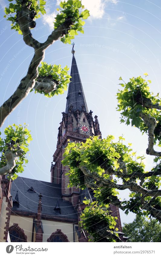Kurz nach fünf Ferien & Urlaub & Reisen Tourismus Ausflug Sightseeing Städtereise Sommer Natur Schönes Wetter Baum Park Frankfurt am Main Deutschland Europa