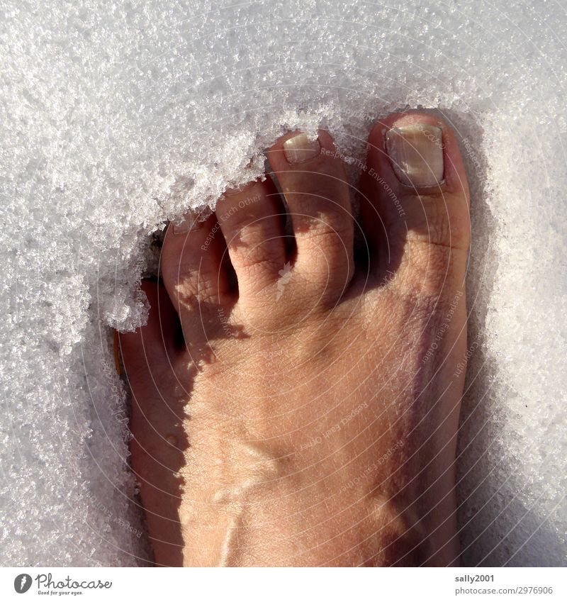 abkühlen... Mensch Fuß Zehen Schnee stehen Gesundheit kalt nackt Frost frieren Erholung Mut standhaft Eis Farbfoto Außenaufnahme Tag Vogelperspektive