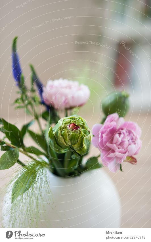 Strauß Frühling Sommer Blume Blüte Blumenstrauß exotisch positiv Tulpe Pfingstrose grün Vase rosa zartes Grün Geschenk danke schön Möbel Innenaufnahme Tisch