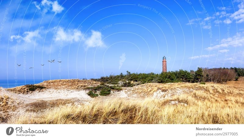 Leuchtturm Darßer Ort an der Ostsee Panorama (Aussicht) Kontrast Textfreiraum oben Menschenleer Außenaufnahme Dünengras Fischland Prerow Farbfoto Erholung