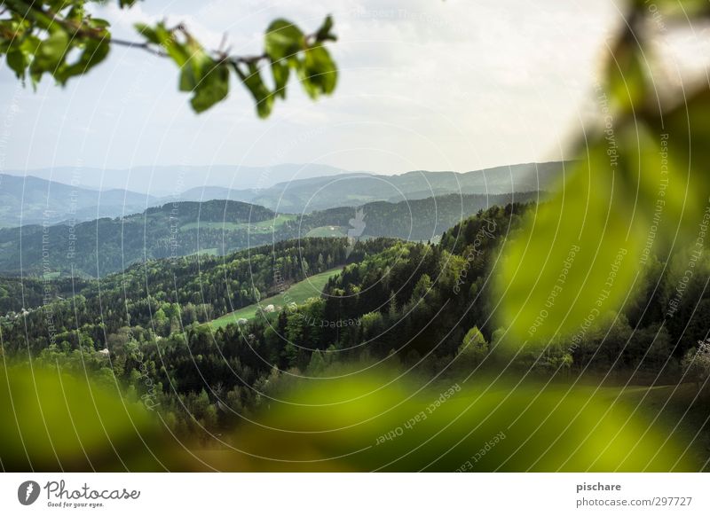 Grüne Mark II Umwelt Natur Landschaft Horizont Sommer Wald Hügel grün Bundesland Steiermark Österreich Farbfoto Außenaufnahme Menschenleer Tag Dämmerung