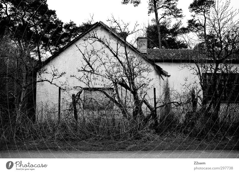 hexenhaus Landschaft Baum Sträucher Menschenleer Haus Hütte alt bedrohlich dreckig dunkel gruselig trashig ruhig Endzeitstimmung Verfall Vergänglichkeit