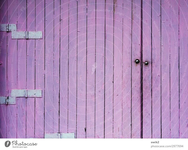 Blau war alle Tor Farbstoff Holz Metall trist violett Scharnier Holzbrett Holztor einfarbig Wiederholung leuchtende Farben Farbfoto Außenaufnahme Detailaufnahme