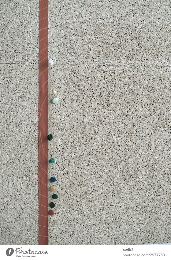 Platzhalter Schwarzes Brett Stecknadel Kork Wand klein rund viele mehrfarbig leer Linie Farbfoto Innenaufnahme Detailaufnahme abstrakt Strukturen & Formen