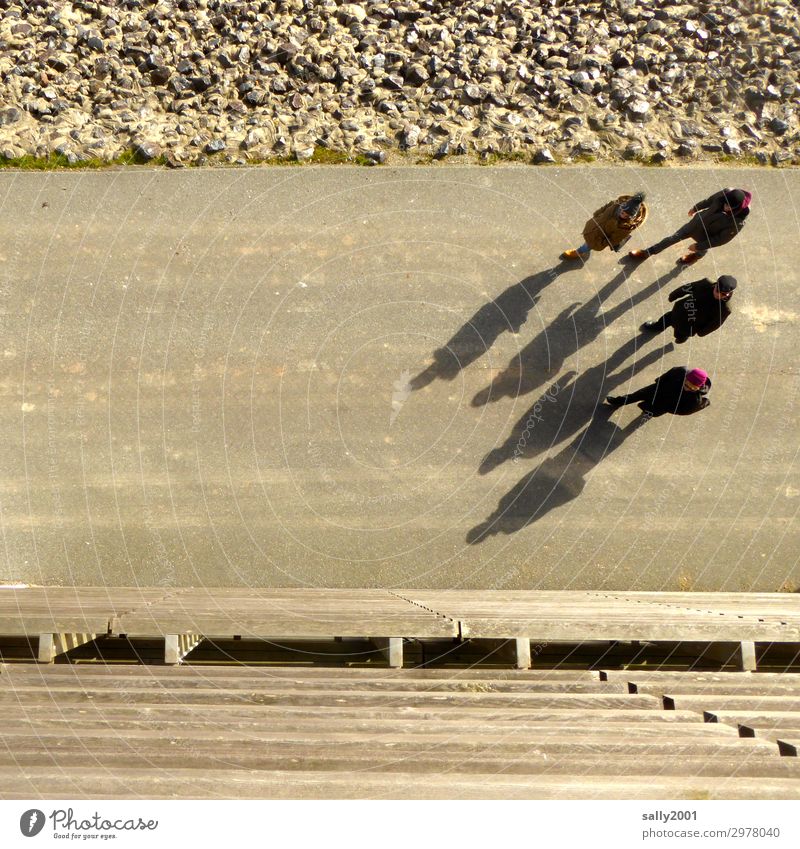 Wandergruppe... Gruppe Menschen 4 wandern Spaziergang Wege & Pfade Schatten Winter Gehweg Asphalt gemeinsam gehen spazieren spazierengehen Vogelperspektive