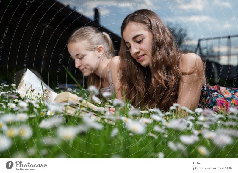 Lesen im grünen Gras Zufriedenheit lesen Bildung lernen Mensch feminin Mädchen Geschwister Jugendliche 2 13-18 Jahre Kind Buch Wiese langhaarig schön buch lesen