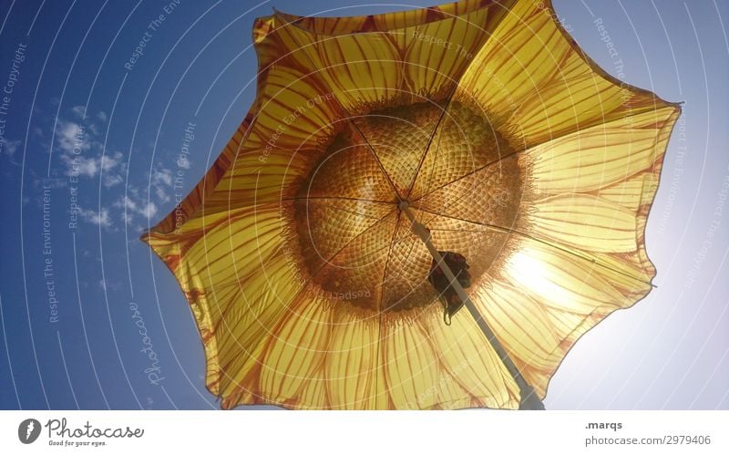 Sonnenblumensonnenschirm Sommer Urlaub Urlaubsstimmung Himmel heiß Sonnenschirm erholen Ferien & Urlaub & Reisen Sommerferien Sonnenlicht Schönes Wetter