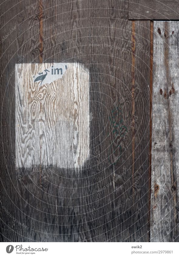 Verdruckst Sammlerstück Holz Zeichen Schriftzeichen Schilder & Markierungen alt Holzmaserung unklar Rätsel Farbfoto Außenaufnahme Muster Strukturen & Formen