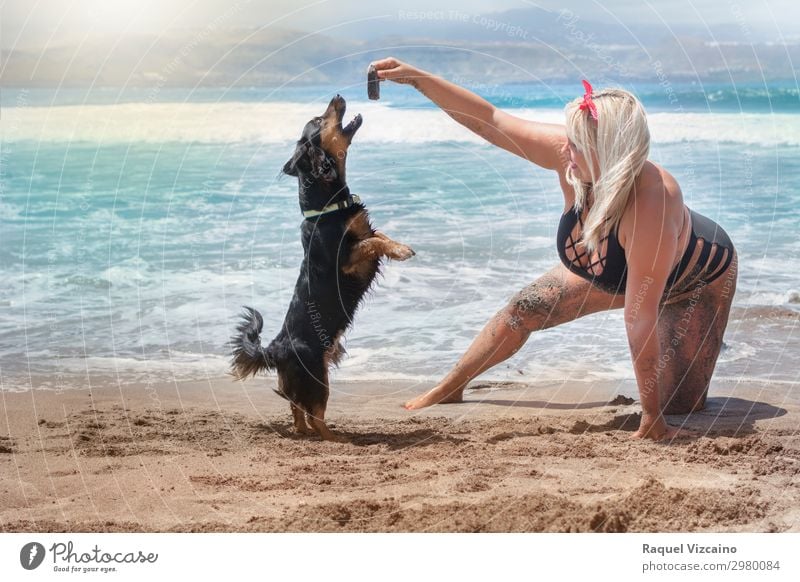 Frau, die mit einem Hund am Strand spielt. Lifestyle Freude Spielen Ferien & Urlaub & Reisen Sommer Sommerurlaub Erwachsene Körper 1 Mensch 18-30 Jahre