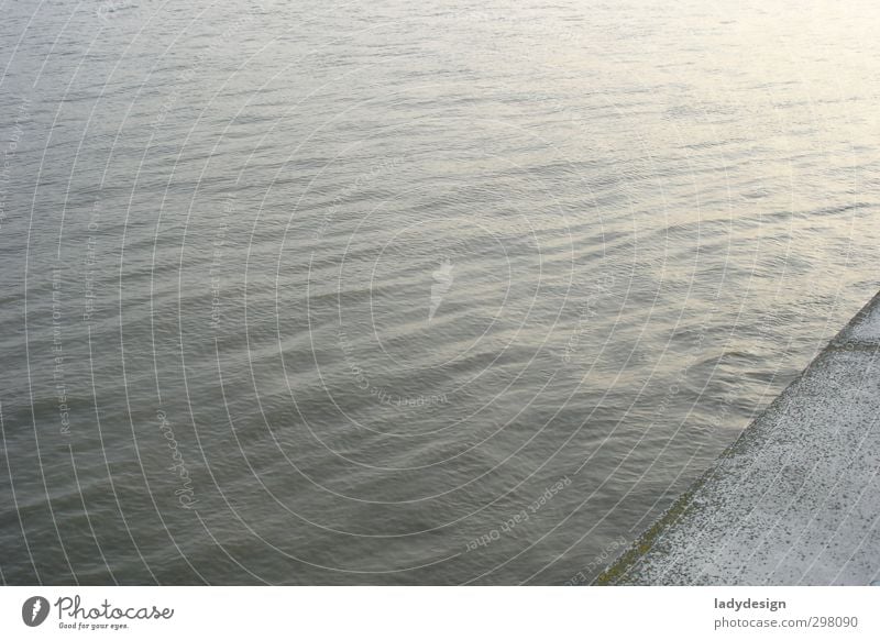themse Wasser Winter Schönes Wetter Flussufer Themse London Stadtzentrum Menschenleer ästhetisch Unendlichkeit blau grau silber Stimmung Farbfoto