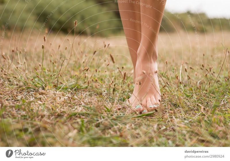 Junge weibliche Beine, die auf dem Gras laufen. schön Erholung Freizeit & Hobby Ferien & Urlaub & Reisen Sommer Garten Frau Erwachsene Fuß Umwelt Natur Pflanze