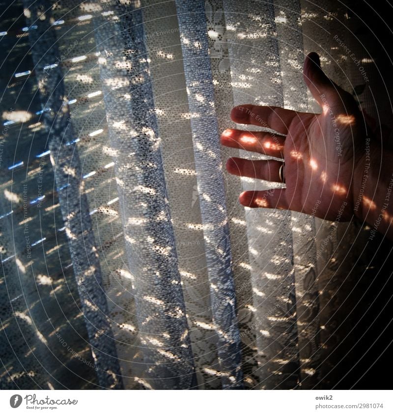 Sichtvermerk Hand Finger Fenster leuchten Gardine Jalousie zeigen Lichtpunkt Farbfoto Innenaufnahme Detailaufnahme Muster Strukturen & Formen Textfreiraum links