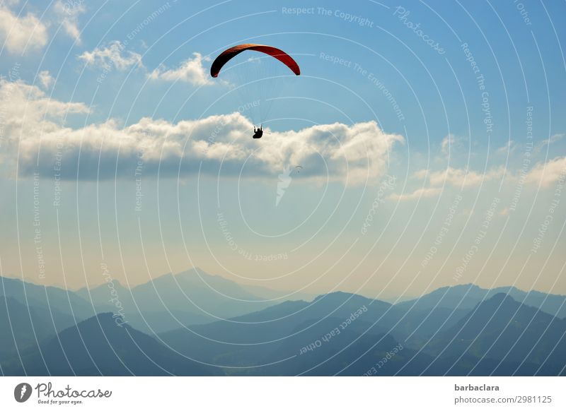 luftig | über den Wolken Sport Gleitschirmfliegen 1 Mensch Natur Urelemente Luft Himmel Klima Schönes Wetter Alpen Berge u. Gebirge Gipfel fantastisch