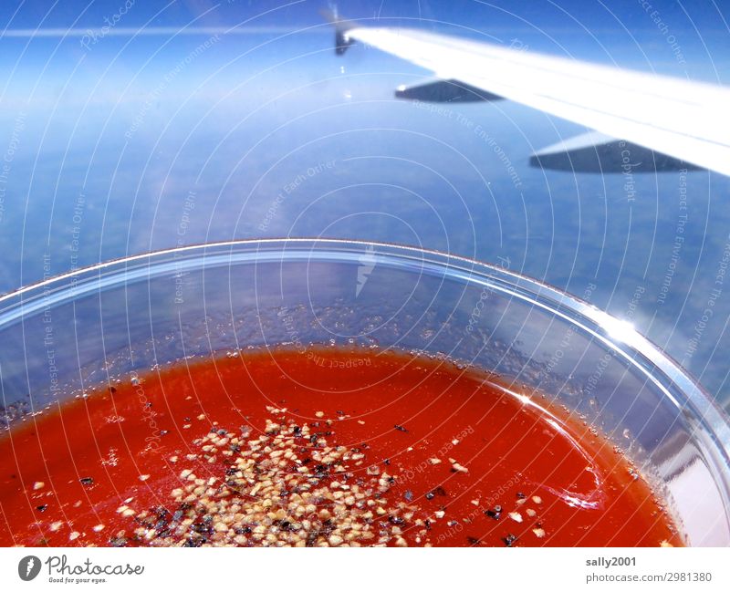 Tomatensaft über den Wolken... Flugzeug Getränk Salz Pfeffer Plastikbecher Flugzeugausblick Tragfläche Winglet rot gesund Klischee Sonnenlicht blauer Himmel