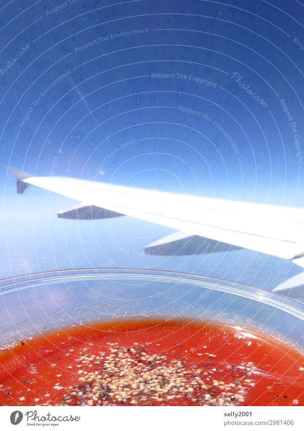 Tomatensaft bitte... Getränk Saft Wolkenloser Himmel Luftverkehr Flugzeug Passagierflugzeug im Flugzeug Flugzeugausblick Tragfläche fliegen trinken Gesundheit